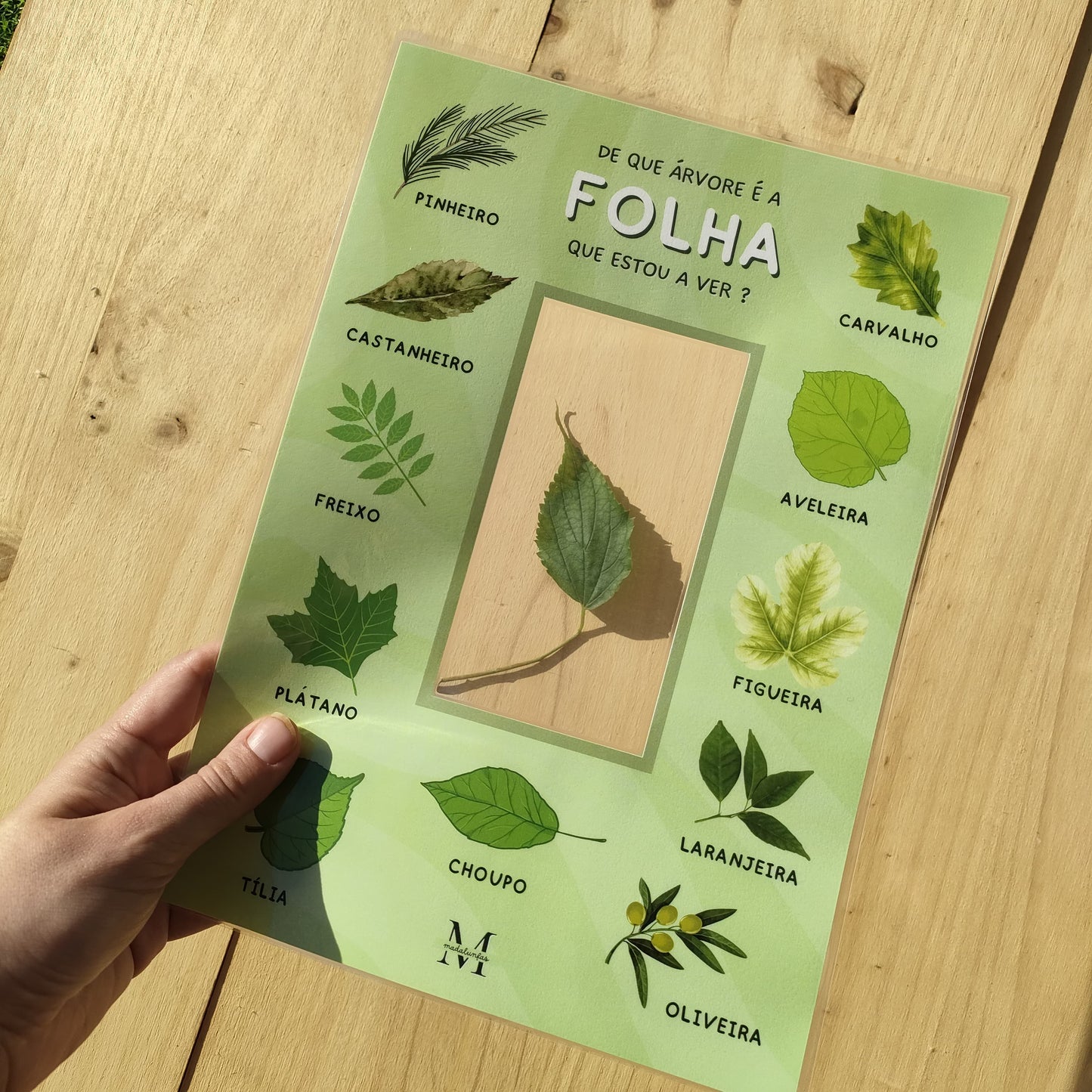 Pack Janelas da Natureza